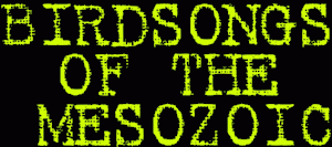 logo Birdsongs Of The Mesozoic